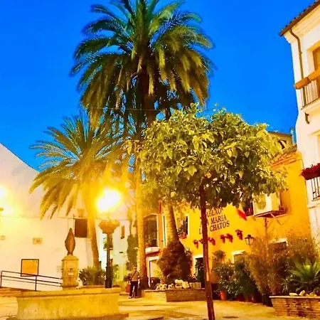 Centric Apartment With Sea And Mountain Views Marbella